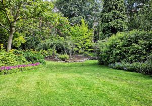 Optimiser l'expérience du jardin à Ernemont-la-Villette